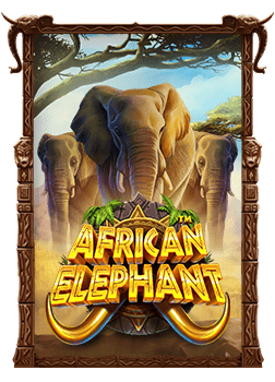 กลยุทธ์พิชิตบาคาร่า สูตร คู่คี่ ที่คุณต้องลอง